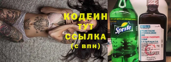2c-b Инта