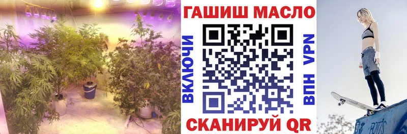 хочу наркоту  кракен ONION  ТГК гашишное масло  Егорьевск 