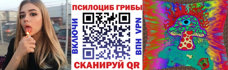 наркота  Егорьевск  blacksprut вход  Псилоцибиновые грибы ЛСД 