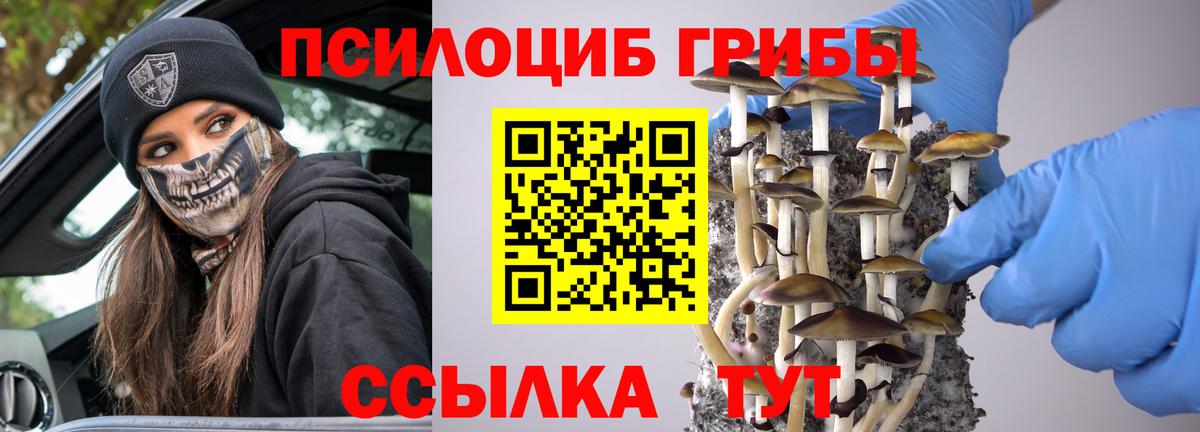 Егорьевск  Галлюциногенные грибы GOLDEN TEACHER  Вход с VPN 