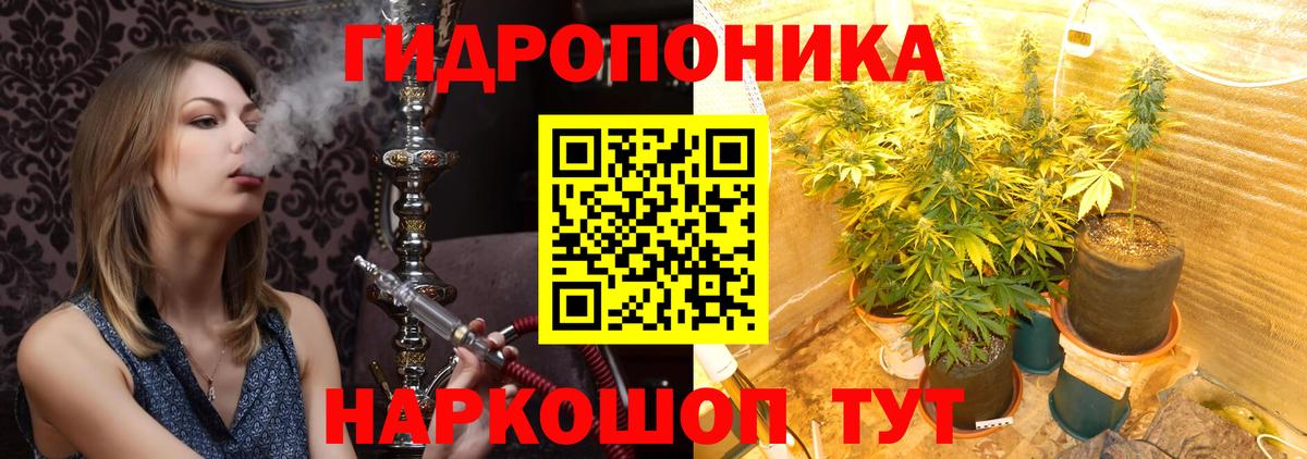 Марихуана план  Бошки марихуана Amnesia  Канабис план  Егорьевск  Вход с VPN  Марихуана Amnesia 
